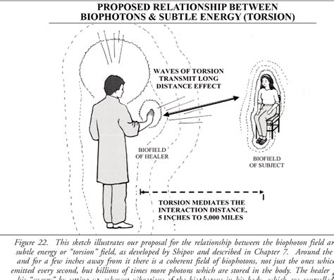 human torsion field test|examples of torsion fields.